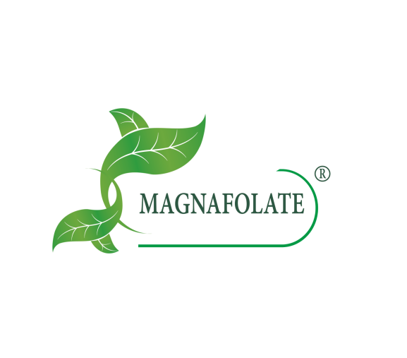 Што е Magnafolate®? Фолат против фолна киселина, која е разликата?