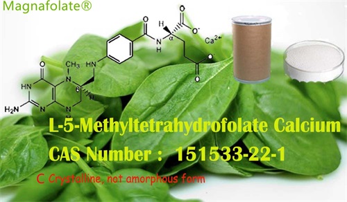 Дали L-5-Methyltetrahydrofolate и фолна киселина се исти?