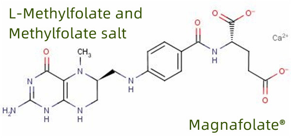 Глобален производител и добавувач на L Methylfolate
