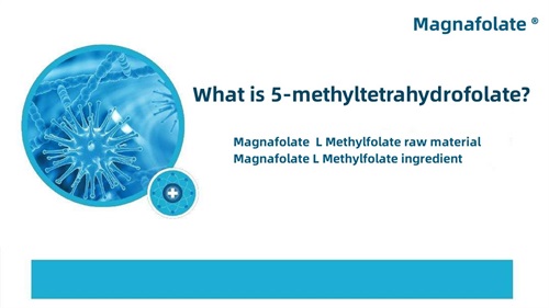 Што е 5-метилтетрахидрофолат?