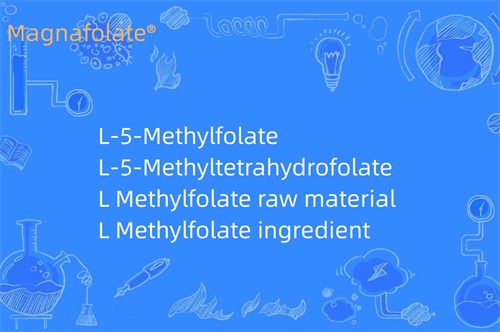 Што прави L Methylfolate?