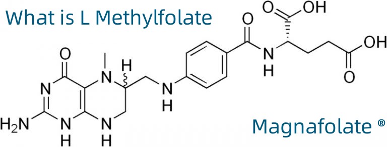 L-5-Methyltetrahydrofolate Calcium CAS бр.:151533-22-1