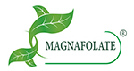 Magnafolate® VS фолна киселина